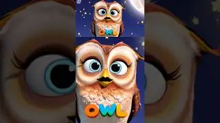 Owl 🦉& Crane Beautiful Birds Learning About Our Feathered Friends | The Amazing Bird Explorer!