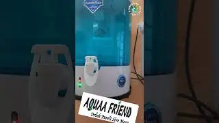 AF DOLPHIN