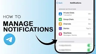 How To Manage Notifications on Telegram
