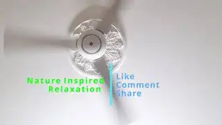 white fan noise for sleeping 8 hours continuous, black screen, sleep well cure insomnia, no ads