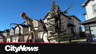 Calgary's haunted Panton Way goes dark after 11 years
