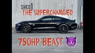 The 750HP Supercharged Ford Mustang Fastback Tour!