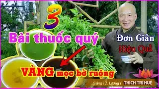 Trị ĐAU DẠ DÀY, HP BAO TỬ Cực Hay - Trị Rong Kinh - Cảm Cúm Phong Hàn từ CÂY QUÝ Kẻo NHẦM là Cỏ dại