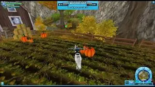 Training Adventures #2 Training my Jorvik Pony!
