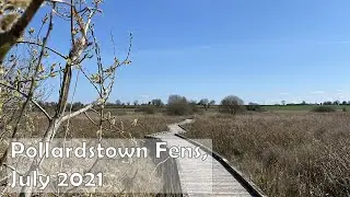 A gentle walk through Pollardstown Fens, Kildare (No Music)