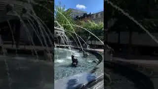 Berczy Park Dog Fountain