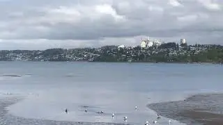 Tides out at Semiahmoo Bay - this morning