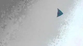Wing Ding Delta Wing Kite