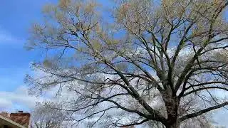 End Weight Reduction Pruning