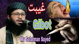 Gibot| غیبت| Rohingya Waz| Mowlana Sulaiman Sayed| غیبت کے بارے میں مدلل بیان سلیمان سعید 