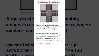 Exercise: calculate RBC count by hemocytometer.