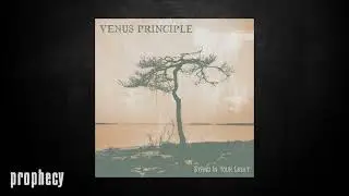 Venus Principle - Shut It Down