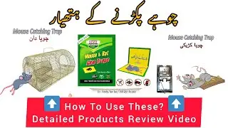 How To Trap a Mouse In Cage | Rat Glue Trap Book چوہا پکڑنے والا پنجرا کڑیکی اور چوہا کتاب #mouse