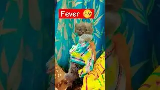Rani ko fever hai 🤒|| 1 month old kitten fever 😔||#cat #kitten#fever  #catlover #youtubeshorts #cat