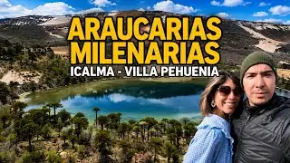 🚘Ruta MALALCAHUELLO &ndash; ICALMA &ndash; Villa PEHUENIA: T&uacute;nel LAS RA&Iacute;CES, BATEA MAHUIDA y Laguna CORAZ&Oacute;N 🏔️