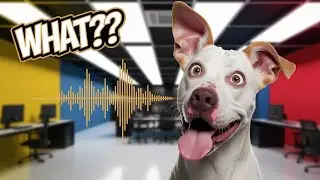 What Dogs Really Hear When You Talk! (It&rsquo;s Shocking 😱)