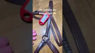 On installe les &eacute;tiquette 🏷️ #hobbyhorse #horse #hobbyhorsing #equestrian #cheval