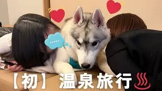ハスキー【初】温泉旅行♨️
