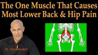 The One Muscle That Causes Most Lower Back & Hip Pain - Dr Mandell Live Stream