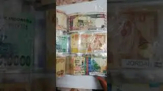 My Currency Collection