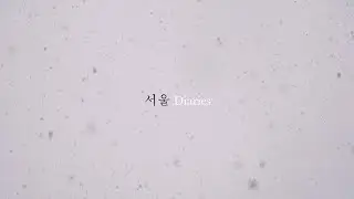 Seoul Diaries - Chapter 2