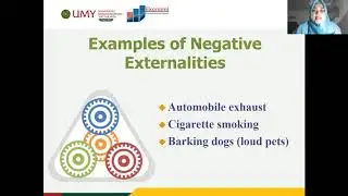 Externalities: Economics for Beginners (Lecture Video)