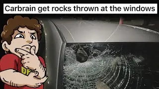 The Anti-Car Movement Is Insane