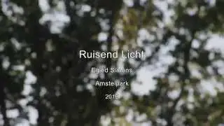 Ruisend Licht
