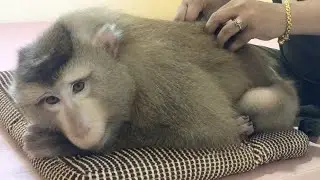 Little Jason Lovely Relaxed Listen Mom Take Care Persuade To Nap