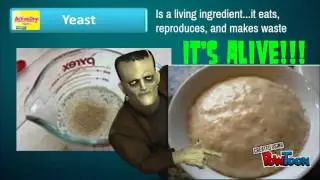 Dough Management  1