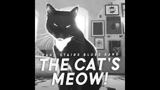 'Spoken Blues' (INSTRUMENTAL VERSION) from 'The Cat's Meow!' by Hard Stairs Blues Band.