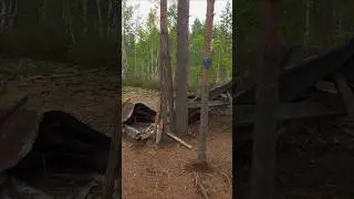Isosuon luontopolku 2 #nature #hiking #sonyxperia1v #retki #retkeily #ulkonaperill&auml; #luonto