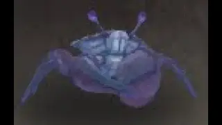 Pandaria Safari: Emperor Crab Battle Pet, Dread Wastes, WoW Retail