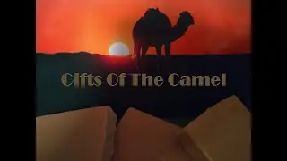 Making Gifts Of The Camel Milk Soap & Health Chat