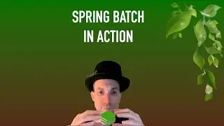 Spring Batch in Action