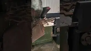 Alligator shear machine with Conveyor