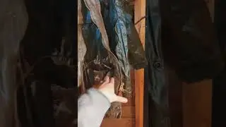 Living Alone in the Mountains - Rewaxing an Old Canvas Jacket part 1