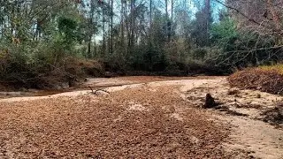 Arrowhead Hunting in Southeast Alabama | Pottery Galore & Bottles | Found in 2021