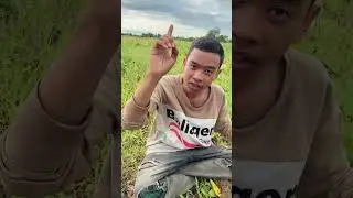 អំបិលអើយអំបិល