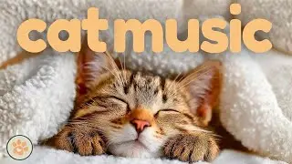 Calming Music for Cats - ZERO ADS for Disruption Free Relaxation 🐱❤️