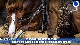 GHN Horse Stories - Cow suit for cutting horse training