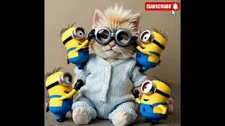 ⭐ &iexcl;Los Minions le hicieron un MAKEOVER al gato! 😹🕶️ #MinionStyle