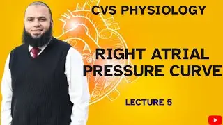 RIGHT ATRIAL PRESSURE CURVE | CVS PHYSIOLOGY | DR NAUMAN AZIZ | 2025