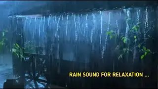 Rain Sounds to Stop Insomnia | Natural Sleep Healing Ambience