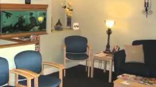 BouldinDDS.flv