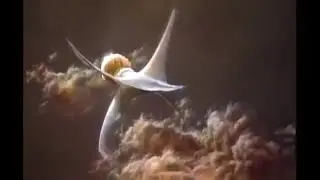 Carl Sagan tells the Greatest Story of Life