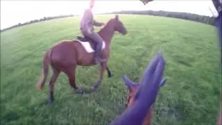 Horseball 20160810