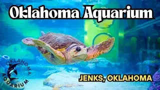 Exploring Oklahoma Aquarium: Underwater Wonders in Jenks
