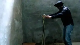 snake video malout(www.vikrammalout.com)