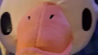lienna ragebaiting (carry an egg, asmr key tower)